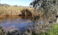 IMG-20190217-WA0137