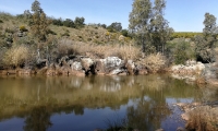 IMG-20190217-WA0145